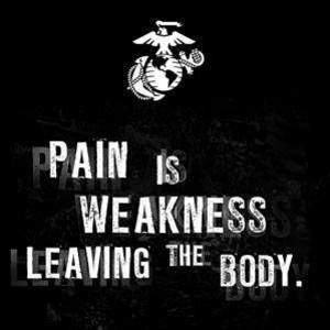 Meet your Posher, Gavin